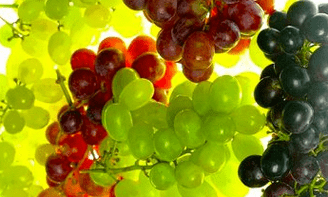 Corrección nutricional de varices